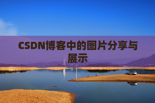 CSDN博客中的图片分享与展示